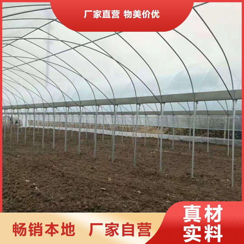 武侯区热镀锌温室大棚售卖