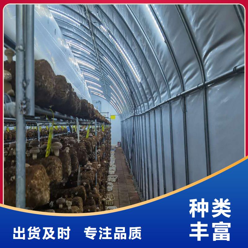 广陵镀锌大棚管专业生产