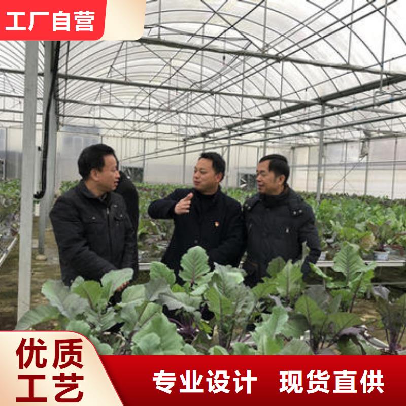 蔬菜大棚管源头厂家2024已更新