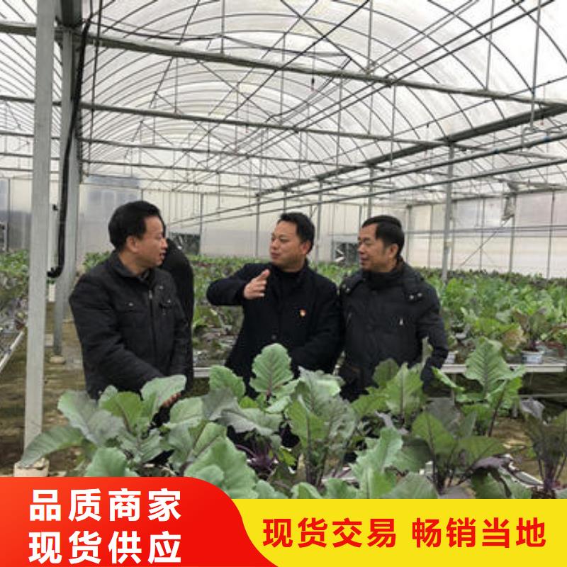 仪征市温室大棚配件大棚镀锌钢管包安装