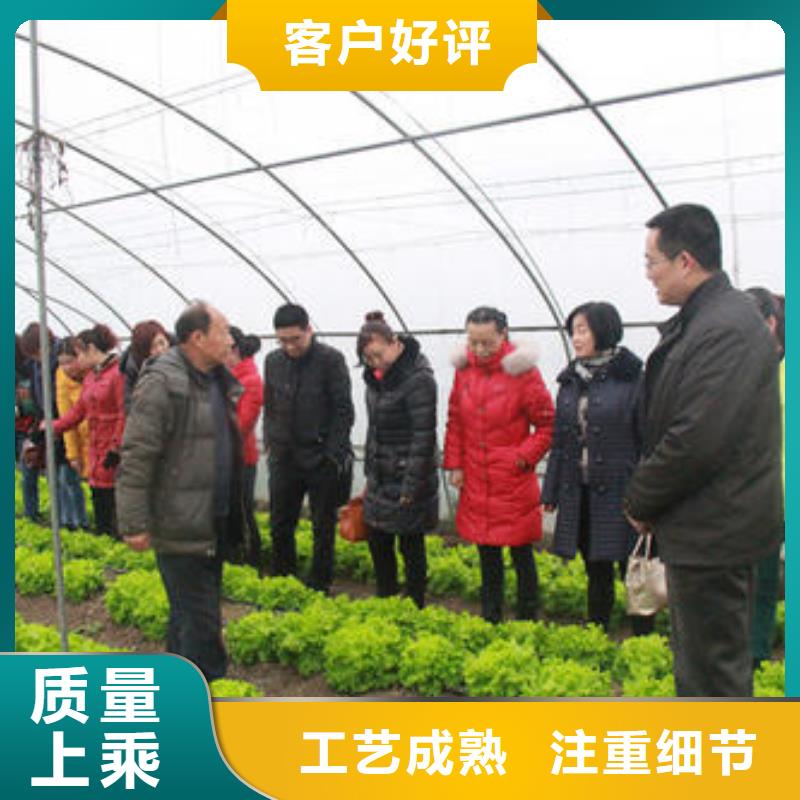 翼城小口径大棚管免运费！