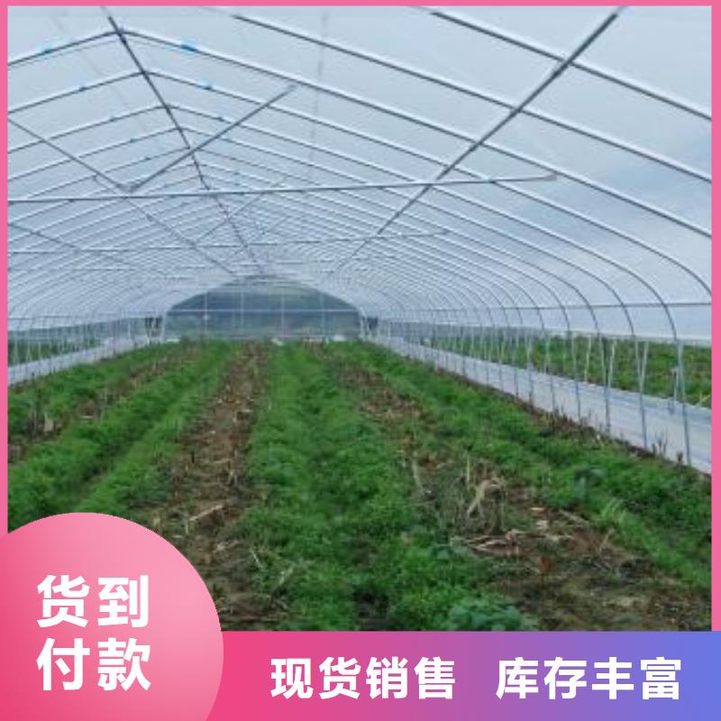 大棚管连栋大棚管品质做服务