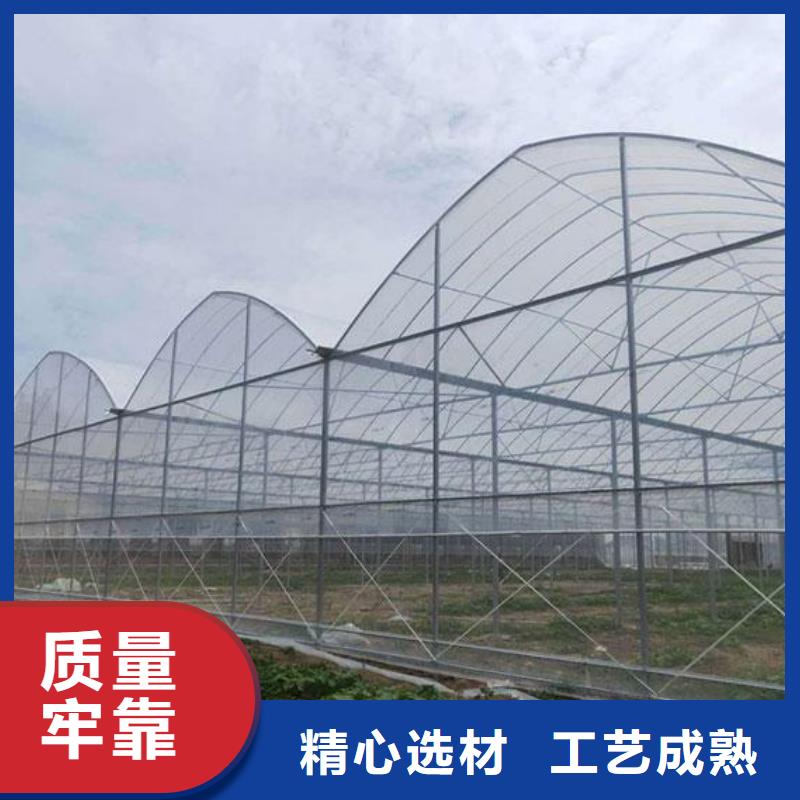 西畴县大棚发货快