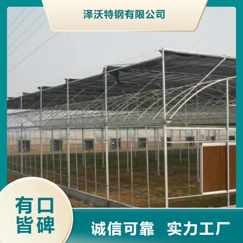 保亭县连栋大棚免费咨询