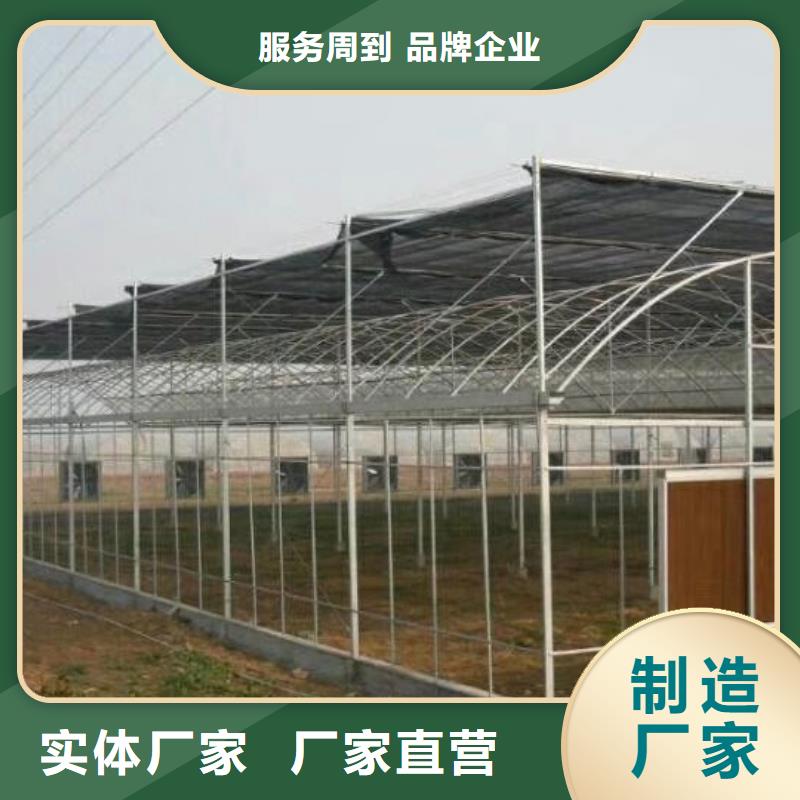 新桥街道连栋大棚钢管配件评价优