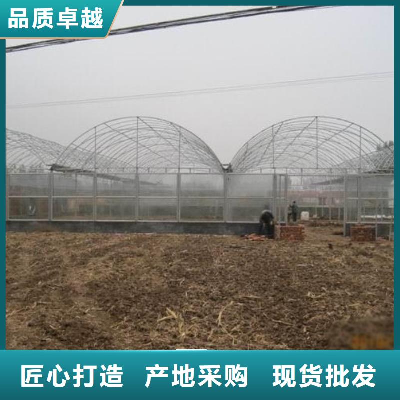 赫章豆角大棚钢管】经耐用钢架大棚管