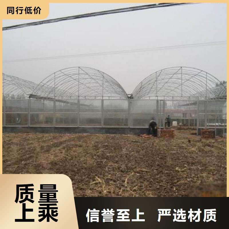 25型号蔬菜河北薄膜连栋日光温室大棚私人订制