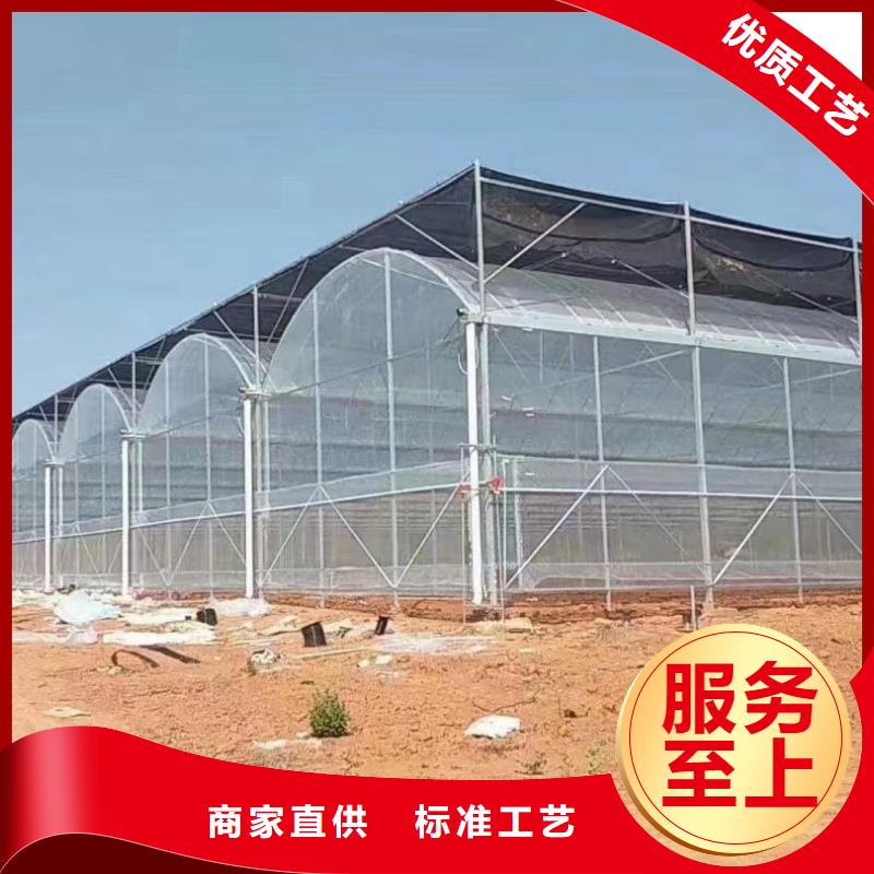 连栋大棚报价资讯