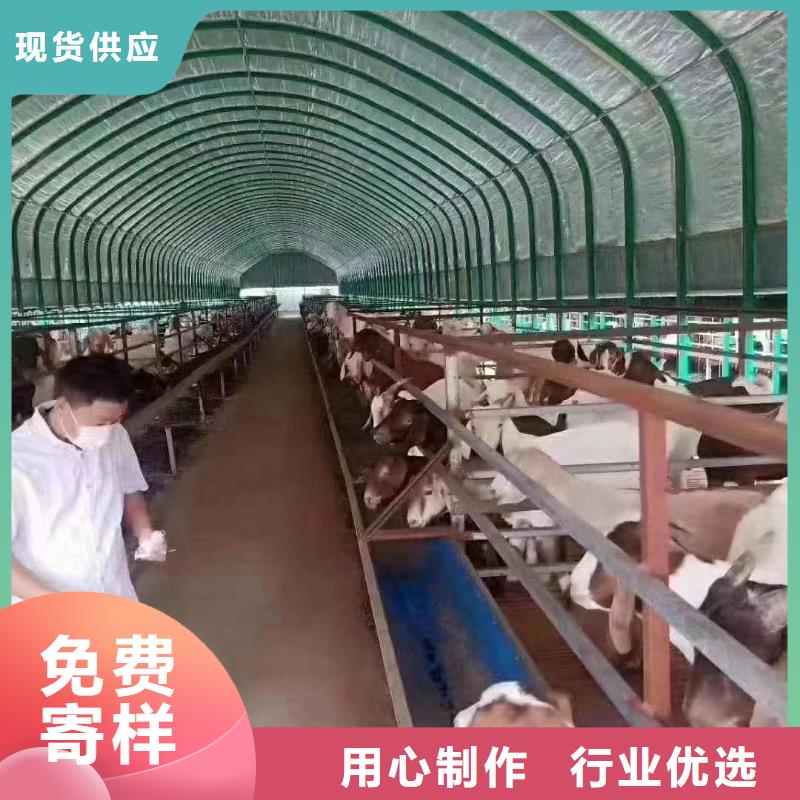 申扎茄子大棚骨架机镀锌技术成熟~