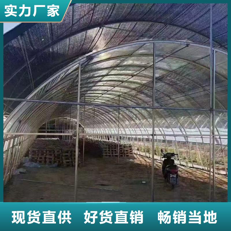 连栋大棚管来电咨询