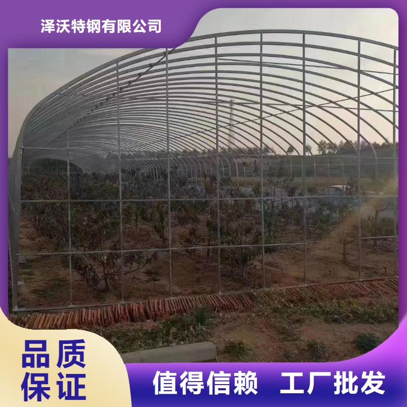 大棚管图片采购