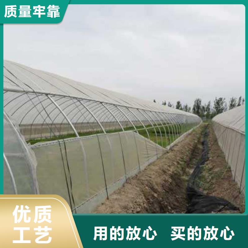 25型号蔬菜河北薄膜连栋日光温室大棚私人订制