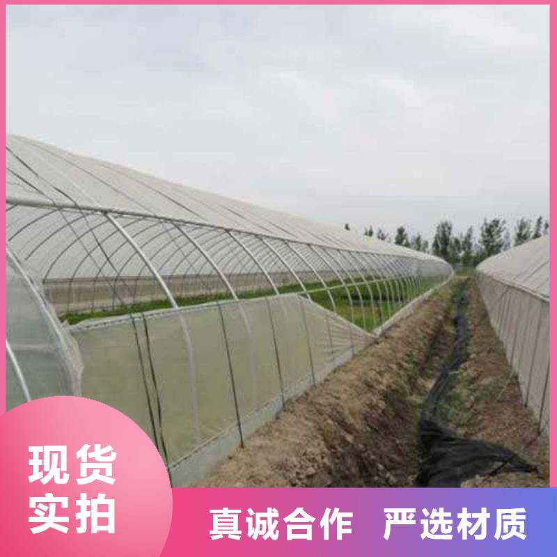 连栋大棚管现货报价2025已更新