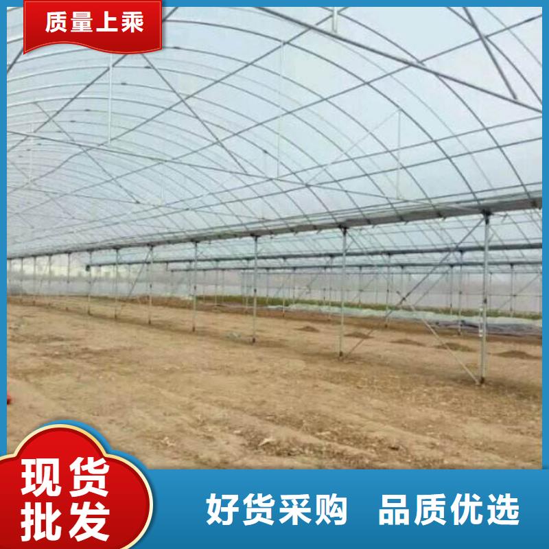 镇安县黄瓜菌菇大棚管价格