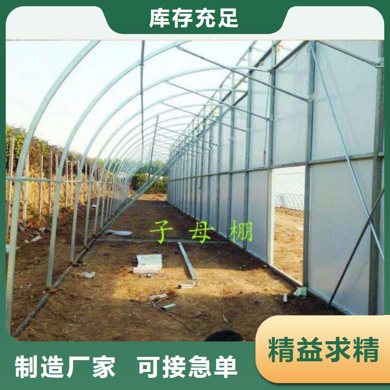 肇州大棚钢管放心选择2025已更新