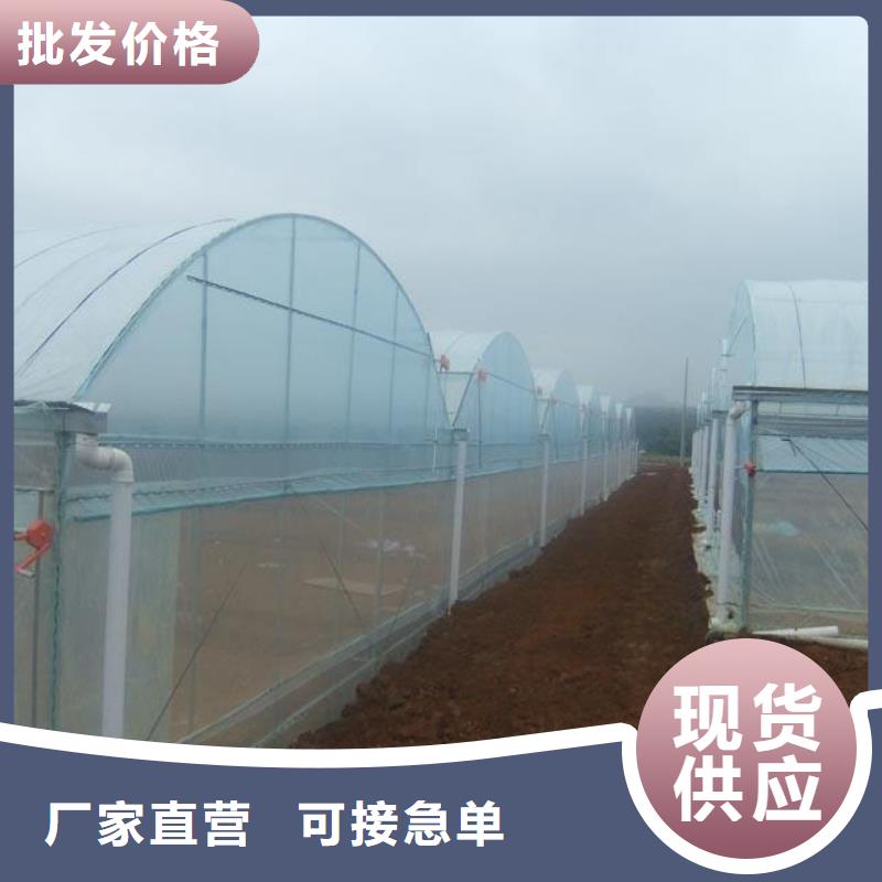 曲阜镀锌管大棚专业安装