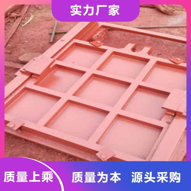 铸铁闸门钢制拍门生产安装