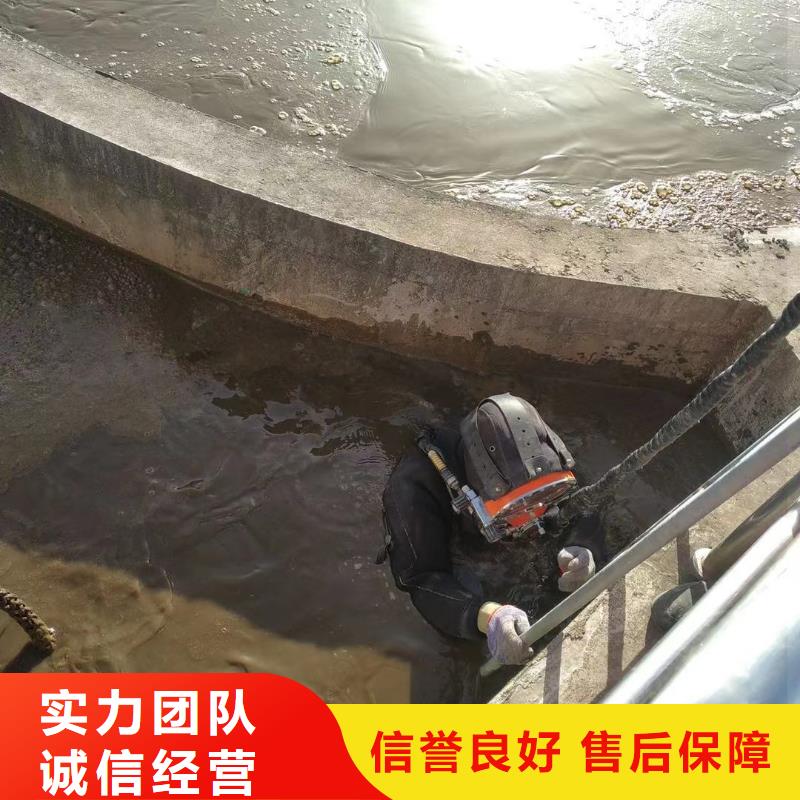 发电厂闸门水下维修检查公司
