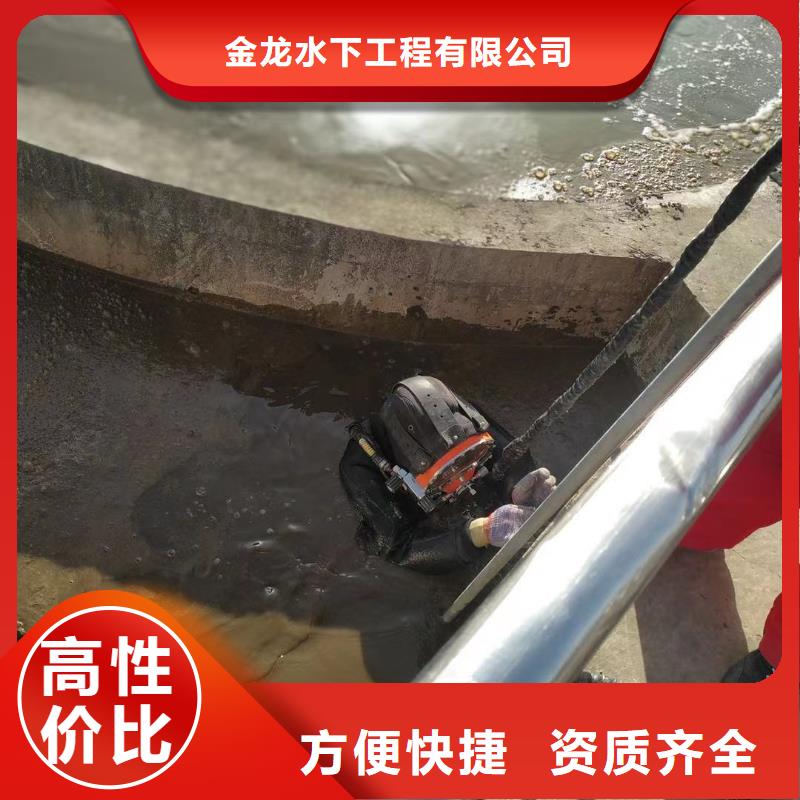 水下救援队-专业潜水队