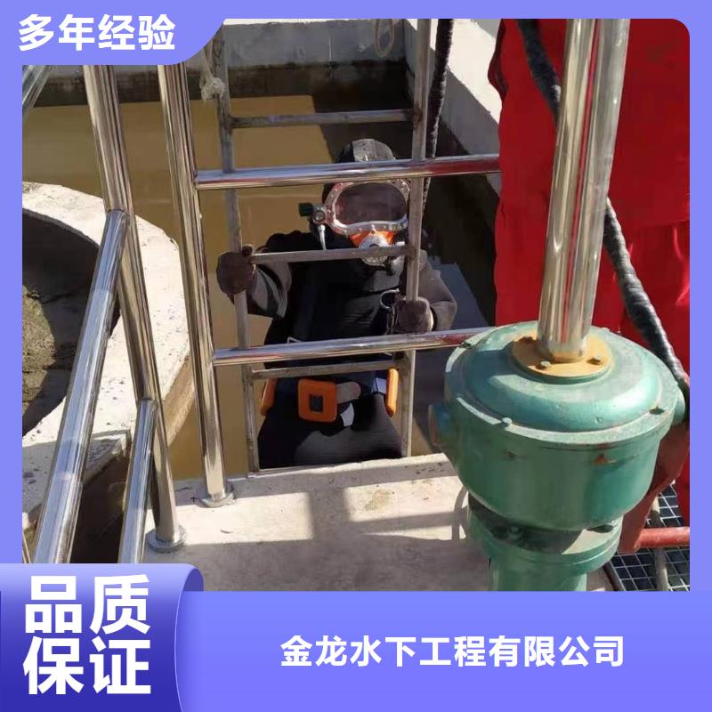 桥桩桥墩水下检测录像公司