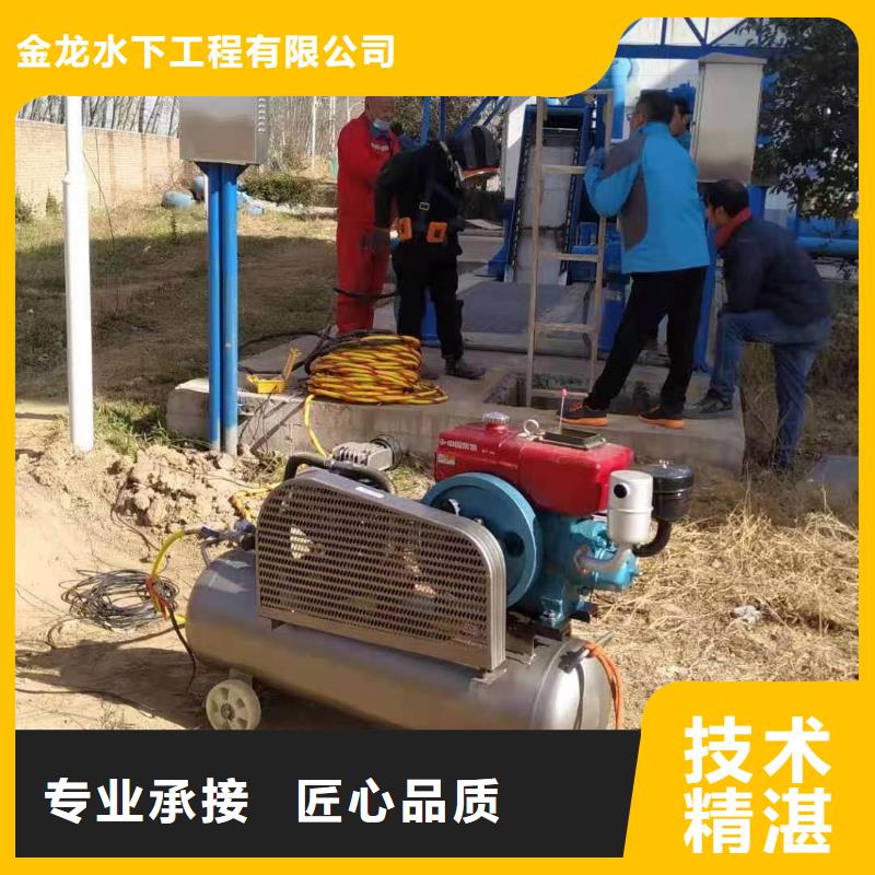 桥桩码头桩拆除公司