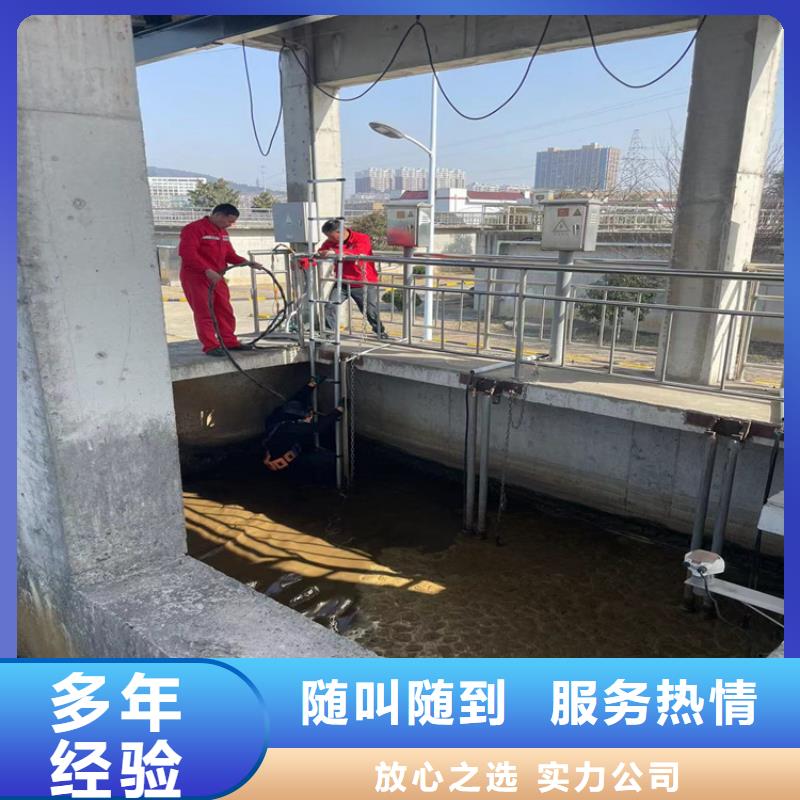 蛙人服务公司-2025欢迎访问