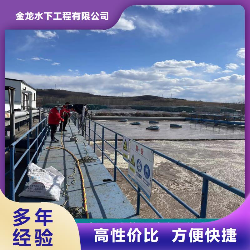 政管道气囊封堵公司(本地施工队)