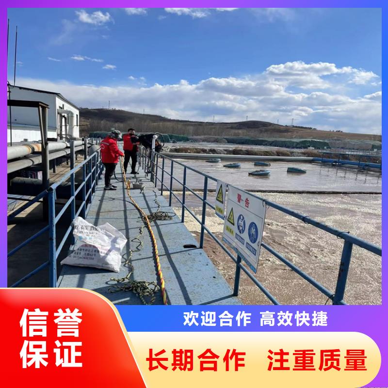 桥桩码头桩拆除公司-潜水施工队