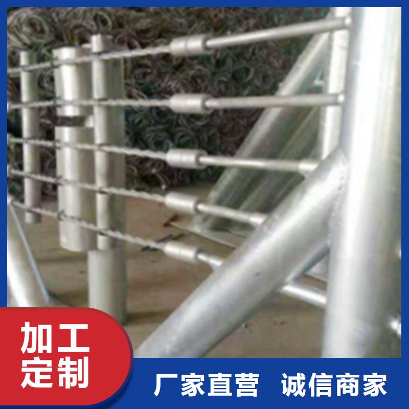 广东绳索护栏联系电话报价
