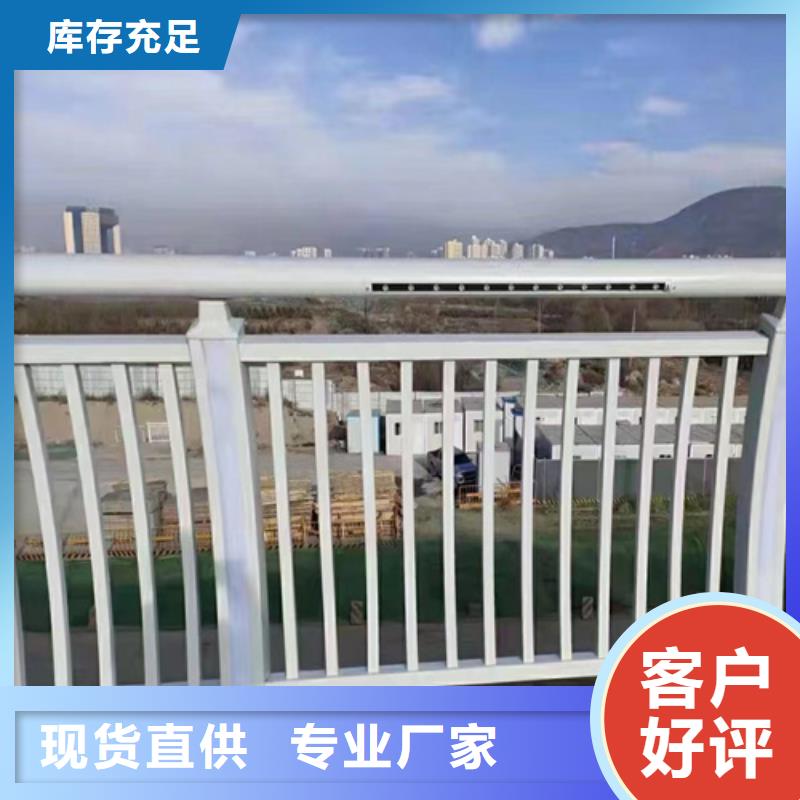 护栏网	定制厂家