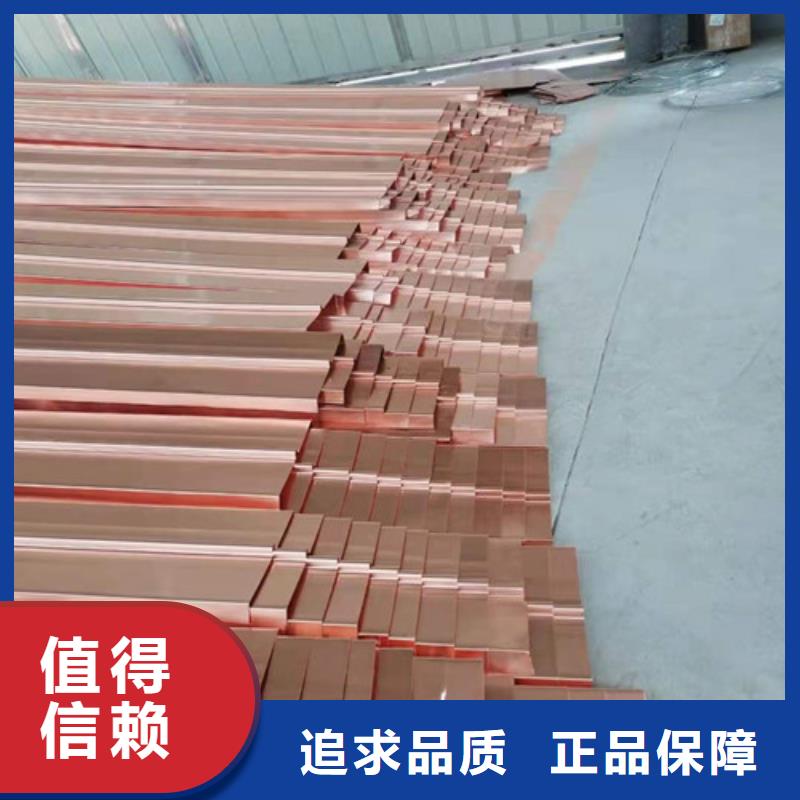 铜排铜片凸结点钢塑土工格栅优质原料