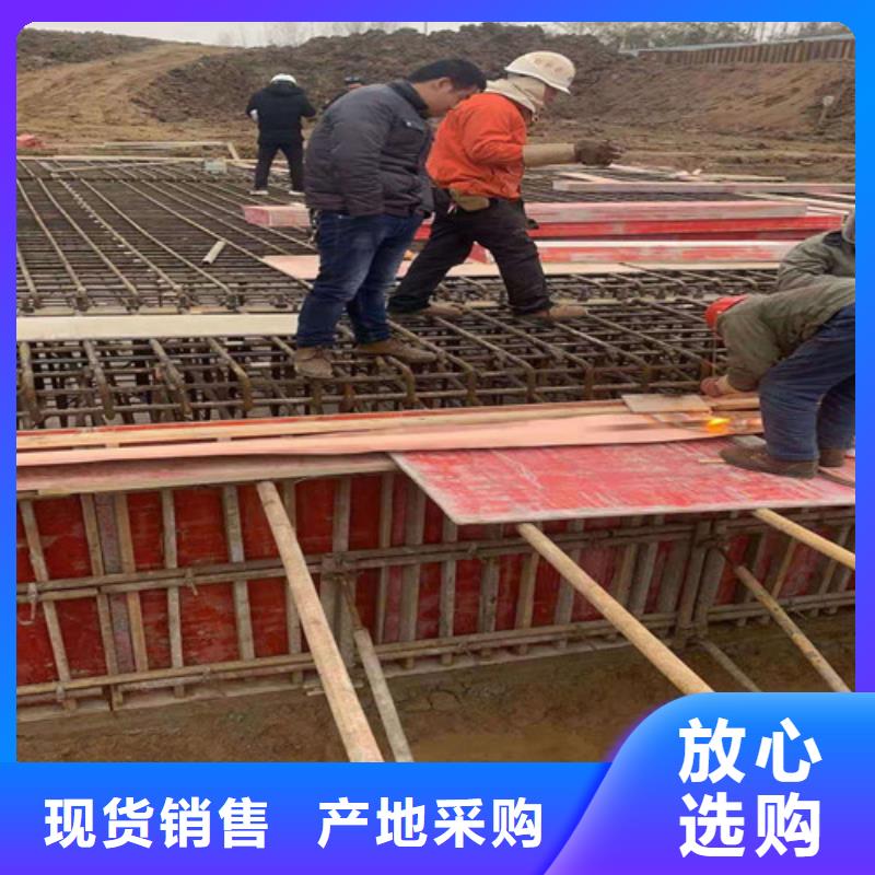 铜排铜片凸结点钢塑土工格栅优质原料