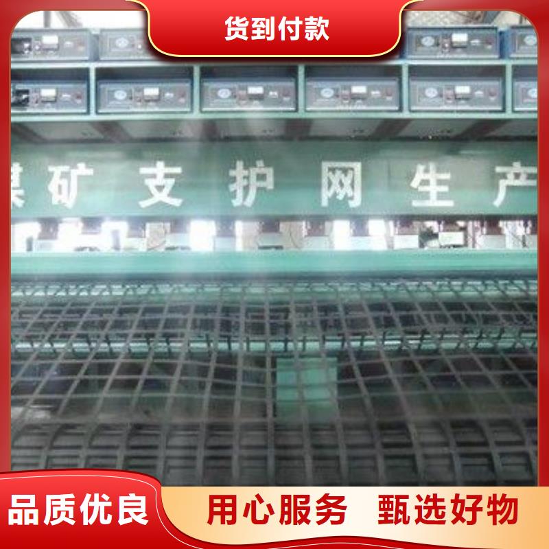 【矿用钢塑复合假顶网土工布现货充足量大优惠】