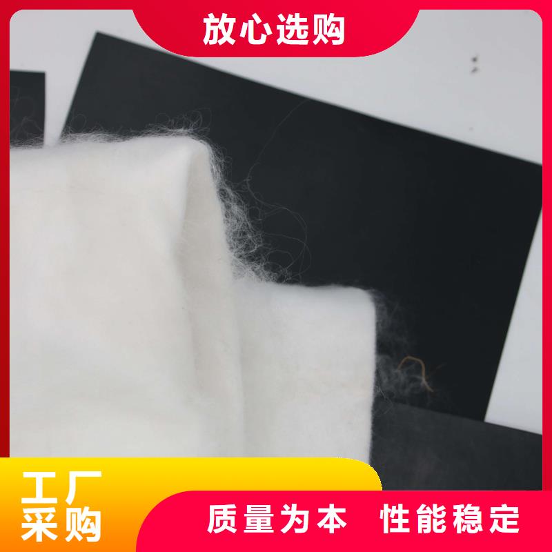 黑色#土工布白色#土工布