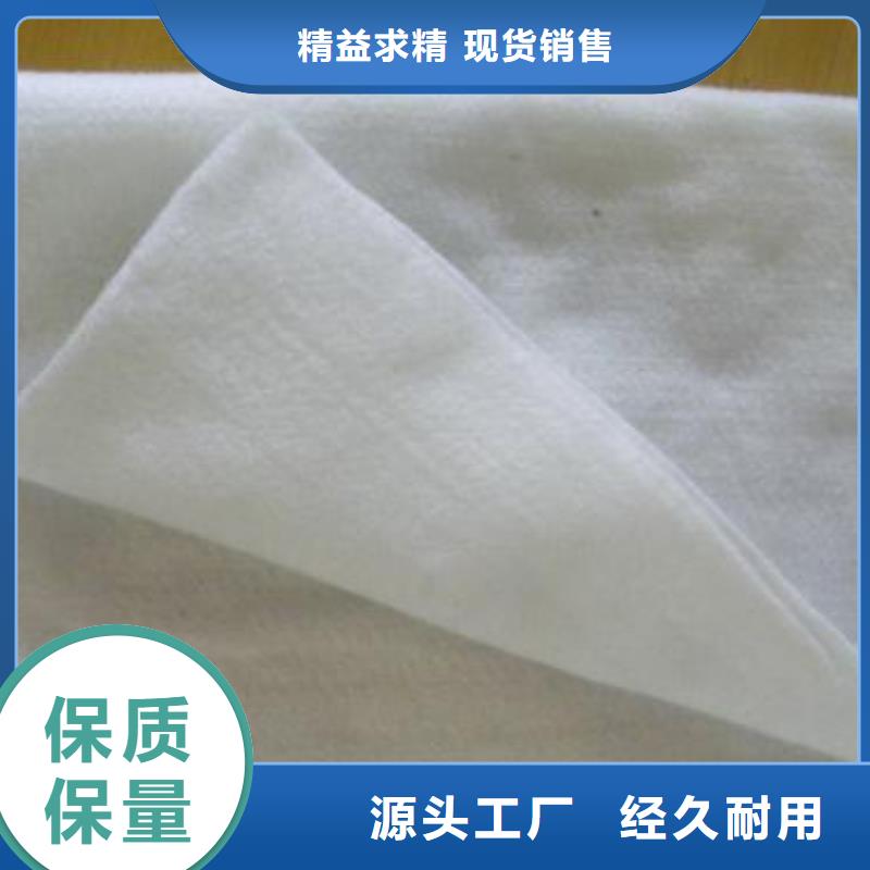 工程防水聚酯长丝布新国标聚酯长丝土工布厂家直销涤纶长丝布