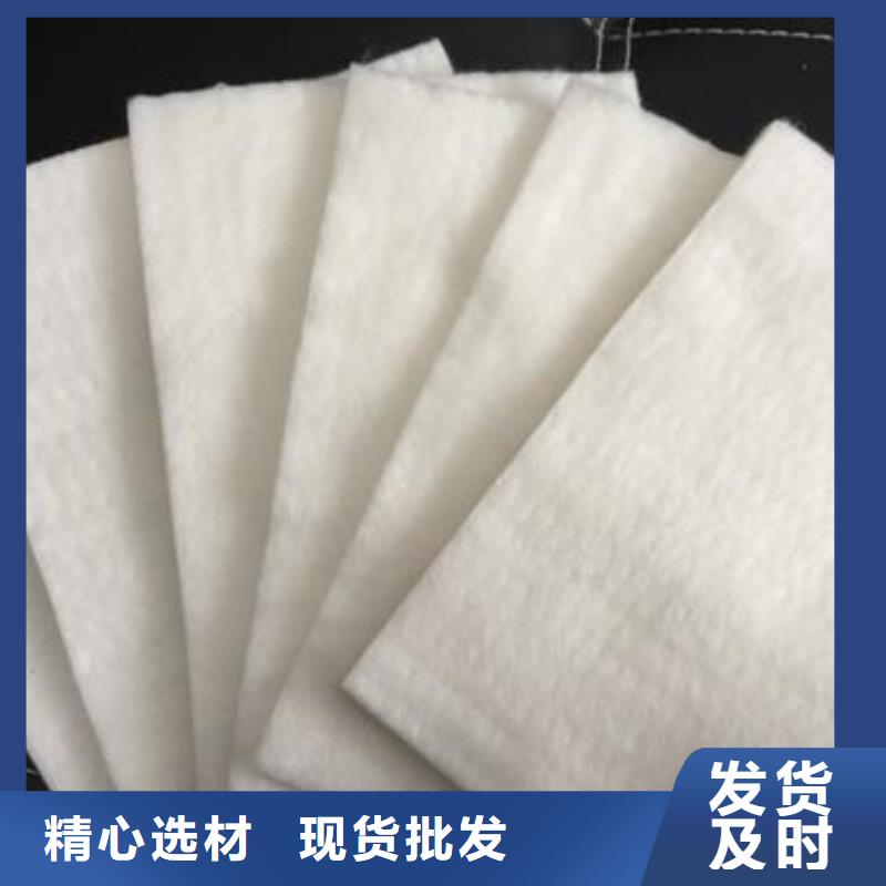 供应无纺长丝丙纶土工布（克重100gsm800gsm）