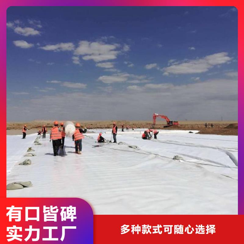 无纺#土工布长丝#土工布
