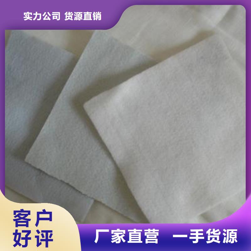 复合土工膜-长丝土工布-HDPE防渗膜-膨润土防水毯-亿路通
