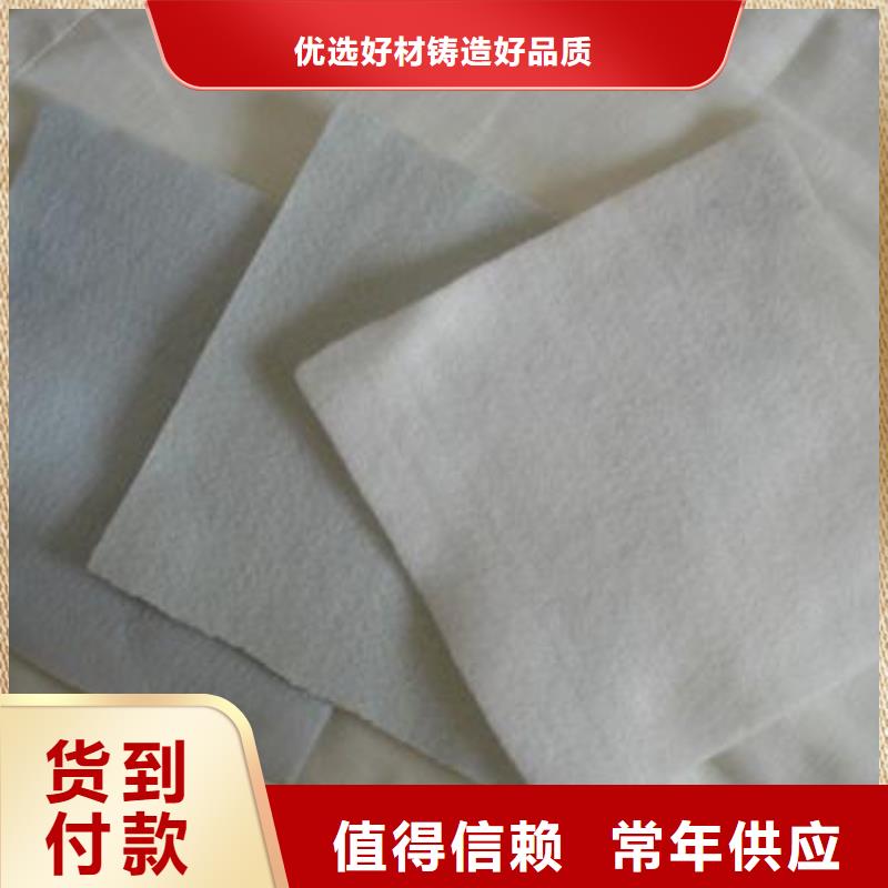 工程土工布_型号100g-1kg_可按需求定制