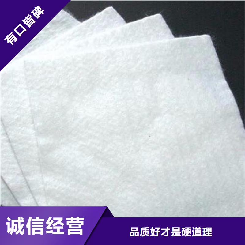 供应无纺长丝丙纶土工布（克重100gsm800gsm）