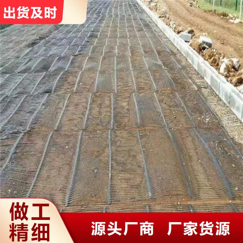 单向塑料土工格栅【钢塑土工格栅】定制零售批发