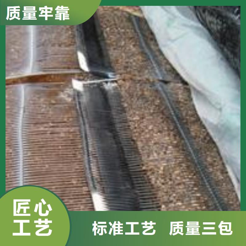 单向塑料土工格栅_双向塑料土工格栅专业供货品质管控
