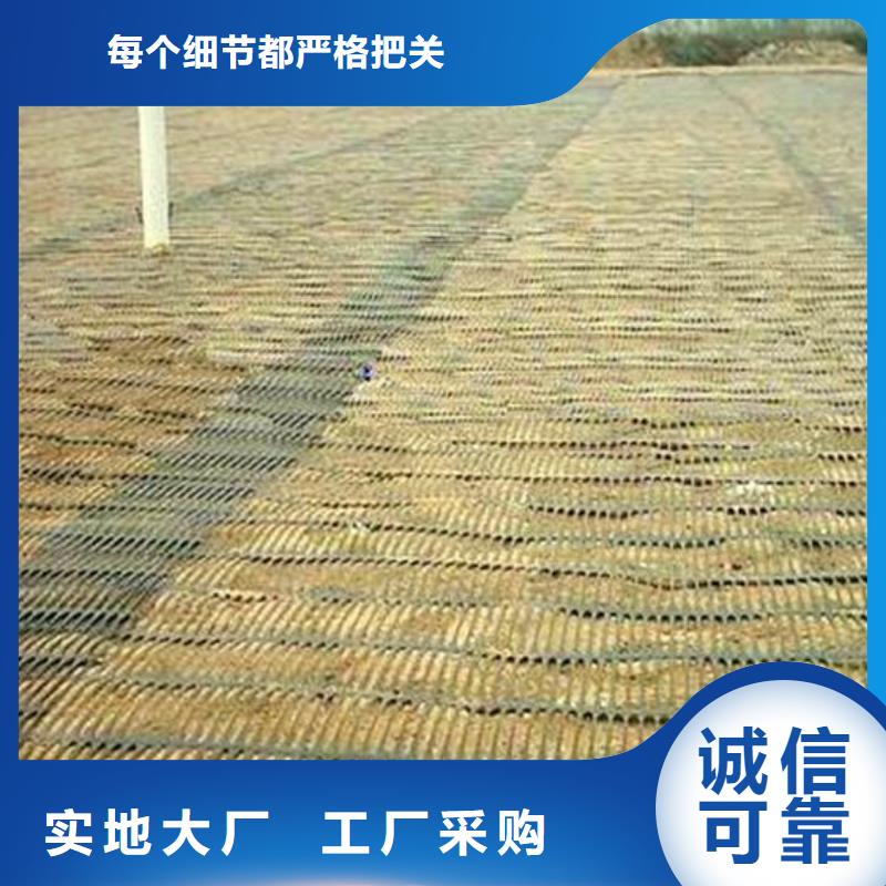 单向塑料土工格栅三维复合排水网诚信为本