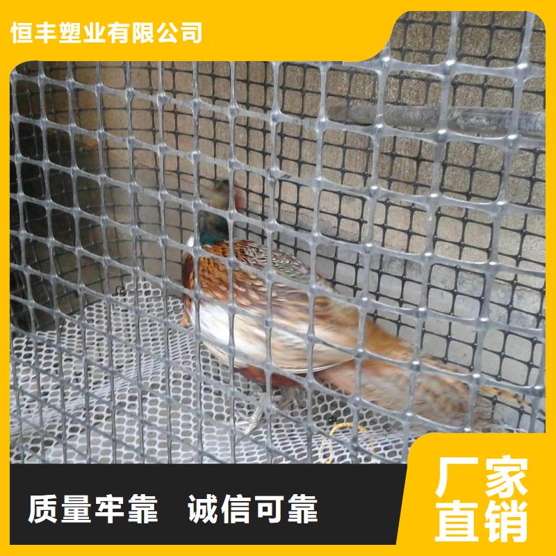 双向拉伸塑料土工格栅执行GB/T17689-2008标准塑料网养鸡塑料围网