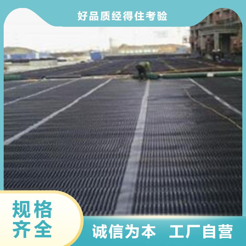 白色塑料平网PE塑料网双向拉伸塑料土工格栅-亿路通