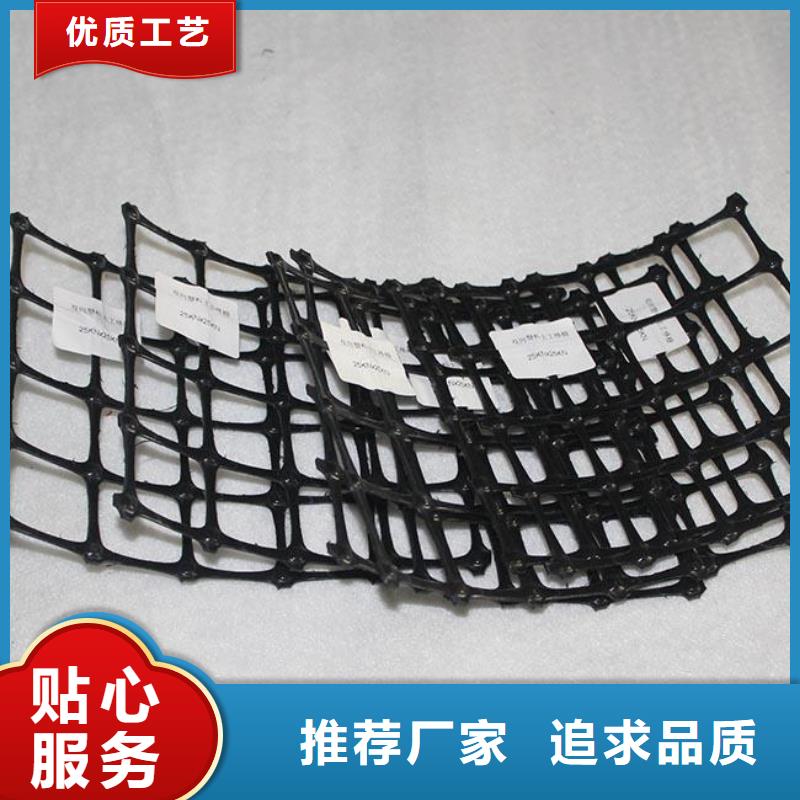 双向拉伸塑料土工格栅生产厂家