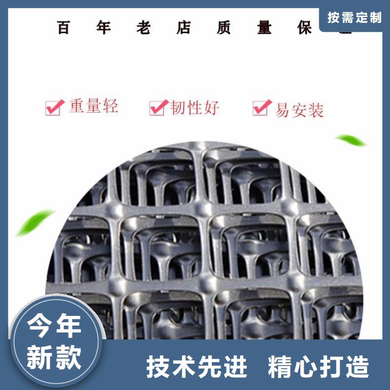 双向拉伸塑料土工格栅执行GB/T17689-2008标准塑料网养鸡塑料围网
