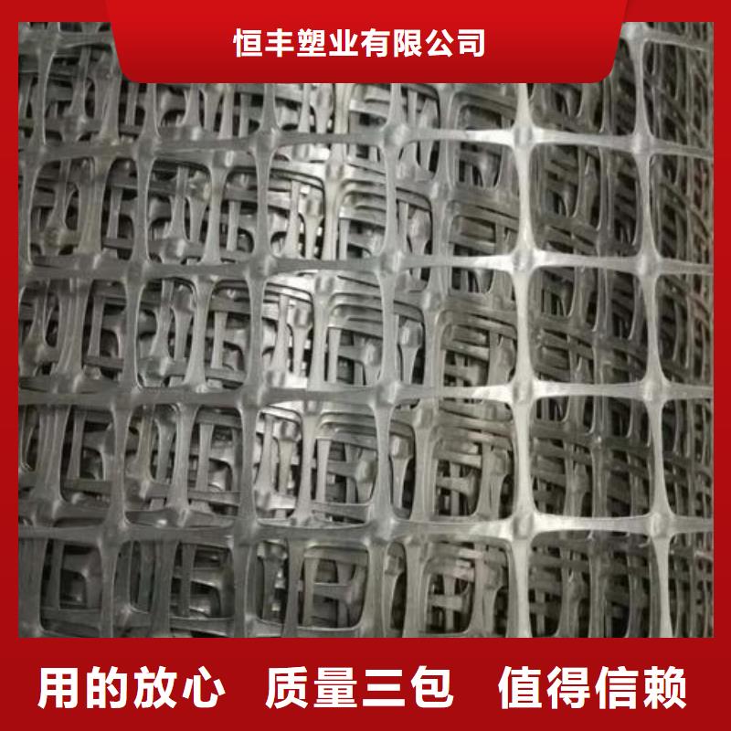 双向拉伸塑料土工格栅执行GB/T17689-2008标准塑料网养鸡塑料围网