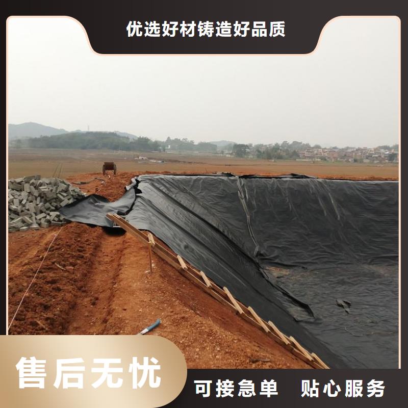 知名的复合式土工膜价格