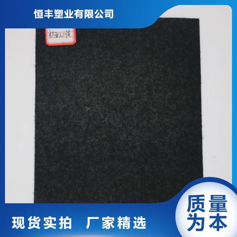 土工膜-土工布-土工袋厂家